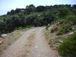 IMG_0002.JPG