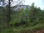 IMG_0003.JPG