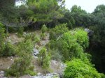 IMG_0010.JPG