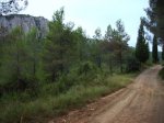 IMG_0004.JPG