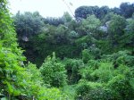 IMG_0012.JPG