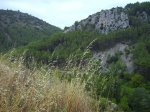 IMG_0031.JPG