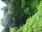 IMG_0014.JPG