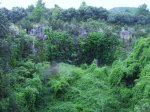 IMG_0015.JPG