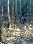 DSC03551.JPG