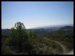 IMG_3991.jpg