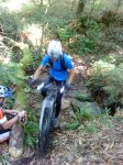 DSC03555.JPG