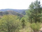CIMG0966 (Copiar).JPG