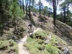 CIMG1016 (Copiar).JPG