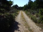 IMG_0007.JPG