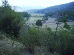 IMG_0004.JPG