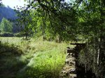 IMG_0040.JPG