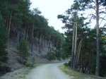 IMG_0006.JPG