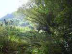 IMG_0036.JPG