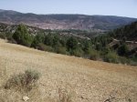 IMG_0081.JPG