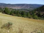 IMG_0082.JPG