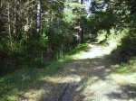IMG_0062.JPG