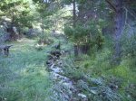 IMG_0066.JPG