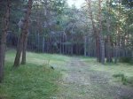 IMG_0055.JPG