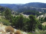 IMG_0078.JPG