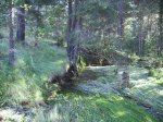 IMG_0054.JPG