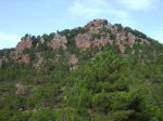IMG_0003.JPG