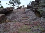 IMG_0017.JPG