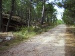 IMG_0007.JPG