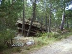 IMG_0006.JPG