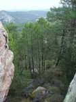 IMG_0067.JPG