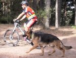 triceciking2mtb.jpg
