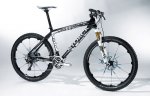 storck2.jpg