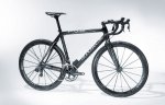 storck4.jpg