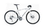 storck3.jpg