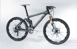 storck1.jpg