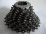 Pi&#241;a Campagnolo (3).JPG