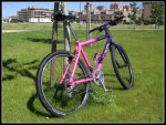 Klein Rascal 26r.jpg