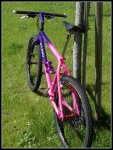 Klein Rascal 38r.jpg