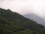 P1010021.JPG