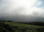 P1010040.JPG