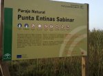 Parque Entinas.jpg