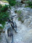 DSC07323r.JPG