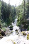 IMG_1845r.JPG