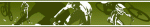 centro_superior.gif