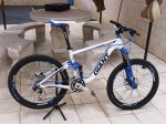 bici 1 corregida.JPG