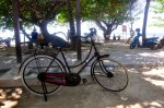 _DSC0480.jpg