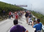 DSC09308.JPG