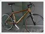 Aztec Gold  ss.jpg