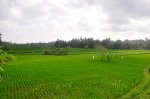 _DSC0163.jpg