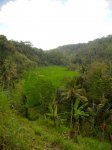 DSCN1483.jpg